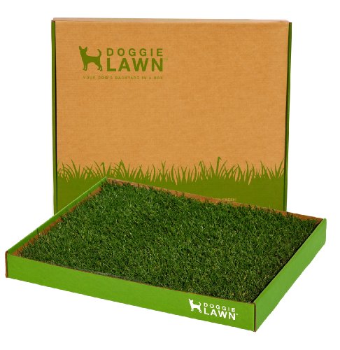 DoggieLawn Real Grass Puppy Pee Pads