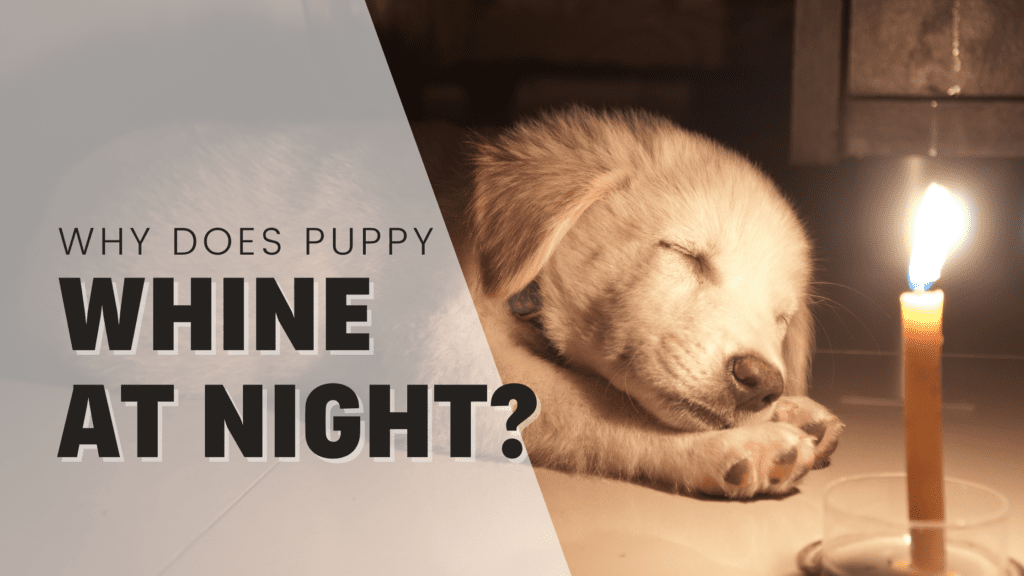 Blog Headers Q1 2023 (13)