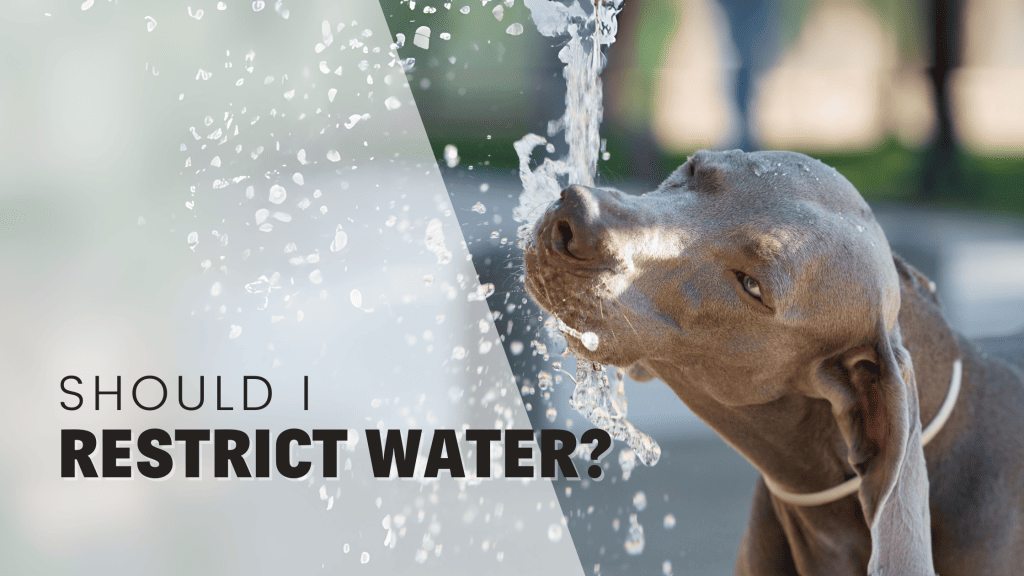 should water be restricted (1)