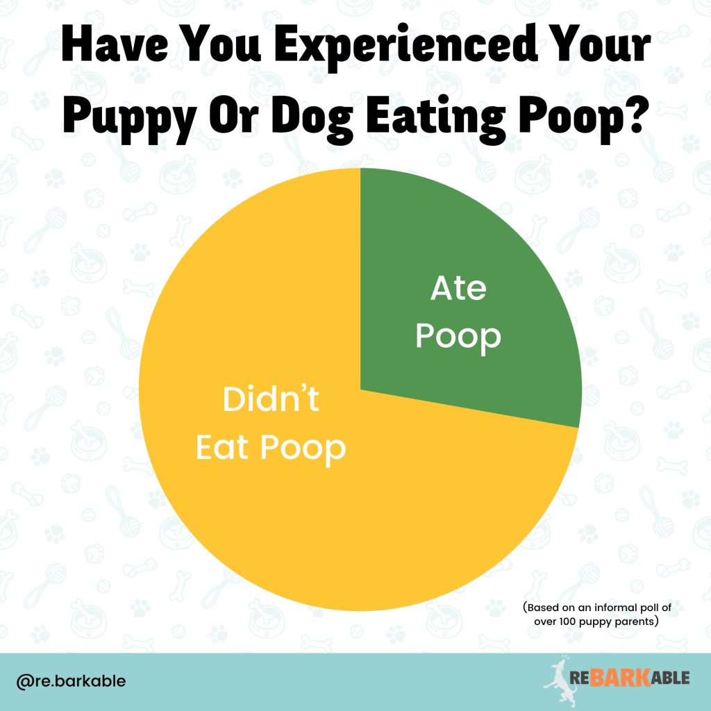 Poop eating pie chart